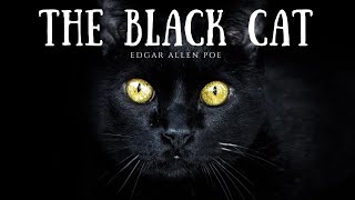 The Black Cat A Tale of Madness amp Murder [upl. by Nennarb]