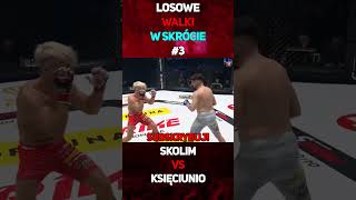 Skolim VS Księciunio  W Skrócie shorts skolim księciunio famemma walka [upl. by Aihseyt322]