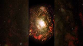 zoom into Circinus Dwarf Galaxy a butiful Big Brite galaxy shorts video trendingshorts [upl. by Ursulina]