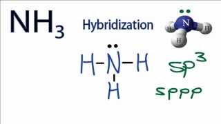 NH3 Hybridization Hybrid Orbitals for NH3 ammonia [upl. by Moitoso]