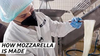 How One of the Worlds Biggest Mozzarella Distributers Makes its Cheese — Vendors [upl. by Ebeohp]