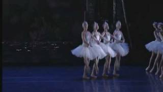 Swan Lake Act II  Cygnets Dance [upl. by Anemaj]