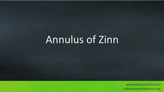 Pronunciation of the words quotAnnulus of Zinnquot [upl. by Cassaundra]