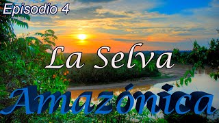 La Selva Amazónica quotUna Selva Muchos Mundosquot  Latinoamérica Salvaje [upl. by Leuqim]