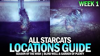 All Starcat Locations Guide  Week 1 Blind Well amp Garden of Plenty Destiny 2 [upl. by Nigle]