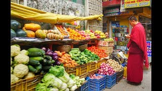 Dharamsala  Little Tibet in India [upl. by Alrac]