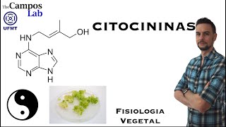 Citocininas 23 Funções Biológicas [upl. by Madelle]