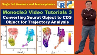 Monocle 3 video 3 Converting Seurat Object to CDS Object for Trajectory Analysis [upl. by Dracir]