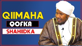 QOFKA SHAHIIDKA AH IYO QIIMIHIISA  Sh Cabdirashid Cali Suufi [upl. by Cynthy]