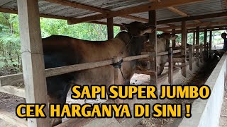 SAPI SUPER JUMBO [upl. by Nurat]