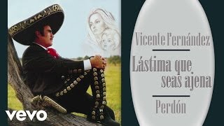 Vicente Fernández  Perdón Cover Audio [upl. by Serena]