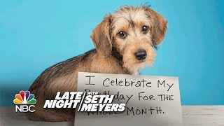 Extreme DogShaming Birthday Month Roomba Defiler [upl. by Dania]