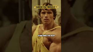 Arnold Schwarzenegger Reveals the Secret of How to Shock the Muscle shorts [upl. by Ojeillib]