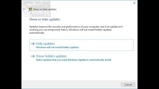 How to Use wushowhide To Hide Windows Updates [upl. by Hare645]