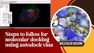 Steps to follow for molecular docking using autodock vina [upl. by Revkah]