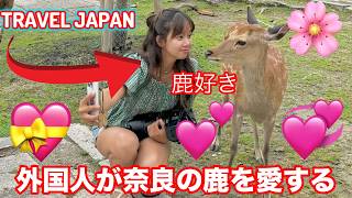 外国人が奈良の鹿を愛する  Travel Japan  daily vlog  Tokyo deer park [upl. by Nylime899]