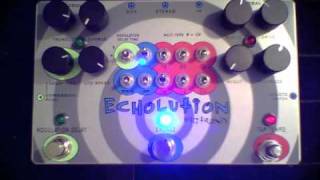 Pigtronix  Echolution  Rhythmic Delay [upl. by Leahplar]