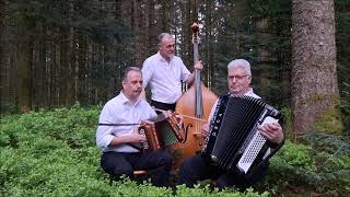 Ländlertrio Zaugg Scheuner Wäfler Kari uf Touren [upl. by Marlie866]