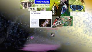 Butterfly Nebula🦋 Nymphalidae [upl. by Winzler558]