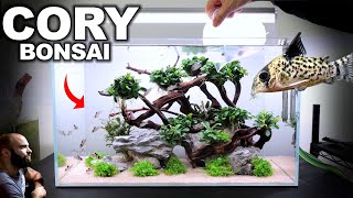 Bonsai Tutorials for Beginners How to Make Bonsai Trunk Look Fatter [upl. by Anahtor694]