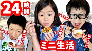 24時間 ミニ生活😝 ミニな物 食べ物だけで1日過ごします🤏 [upl. by Justicz706]