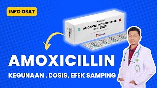 Obat AMOXICILLIN  Kegunaan Dosis Efek Samping [upl. by Ethben]