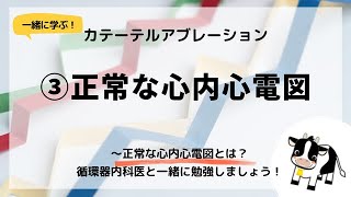 ③アブレーション～正常な心内心電図循環器内科医が解説します [upl. by Ardnasil]