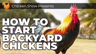 Chicken Keeping 101 A Complete BEGINNERS GUIDE To Backyard Chickens [upl. by Aniz463]