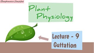 Plant Physiology I Lecture 9 Guttation I Bioinformatics Simplified [upl. by Adniled]