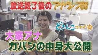 どさんこワイド朝番外編～大家彩香アナウンサー カバン中身大公開…突撃！アナウンス部リポート！～ [upl. by Notsirt914]