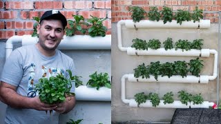 How To Make inexpensive Hydroponic System and start Hydroponics Garden At home 2021 [upl. by Vanden]