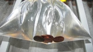 Get Rid of Houseflies  Pennies in Bag [upl. by Edora910]