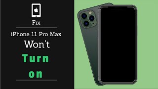 Fix Wont Turn on Problem on iPhone 11 Pro Max  iPhone Stuck on Black Screen Fixed [upl. by Calle498]