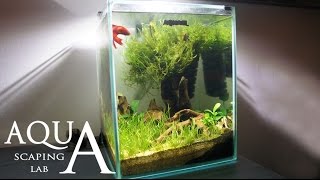 Aquascaping Lab  Tutorial Nano Cube Aquarium size 20 x 20 x 25H 10L Grass and wood style [upl. by Sivert741]