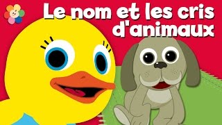 Apprendre les noms et les cris des animaux  Comment aboie un chien   BabyFirst [upl. by Wei]