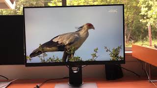 ULTRA CLEAR BenQ PD2700U 4k 27 inch HDR Monitor Review [upl. by Alyak]