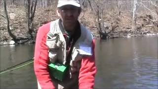 Fly Fishing Grannom Caddis Hatch with Jim Misiura [upl. by Grosz]