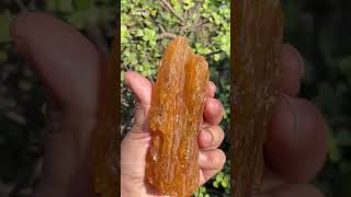 The Allegiance  Raw Amber amberstone amber naturalbeauty crystal crystaljewelry natural [upl. by Ialokin179]