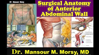 Surgical Anatomy of Anterior Abdominal Wall [upl. by Enilesoj]