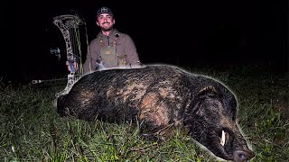 SHOULDER SHOT ON A BIG BOAR Oklahoma Catch Clean Cook [upl. by Esilana483]