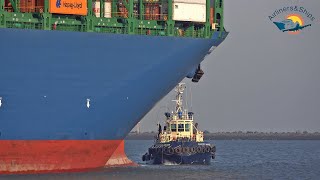 42 MINUTES OF FANTASTIC 4K SHIPSPOTTING AT ROTTERDAM PORT 2022 [upl. by Airretal]