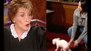 Judge Judy Solves Dog Dispute In Seconds VIDEO [upl. by Farhsa]