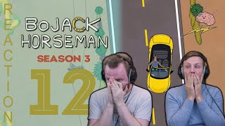 SOS Bros React  BoJack Horseman Season 3 Episode 12  quotThat Went Wellquot [upl. by Reste]