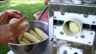 Removing Silk From Sweetcorn [upl. by Derron]