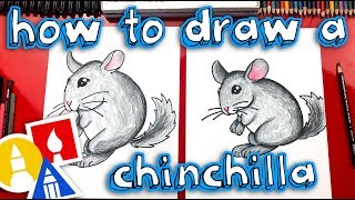 How To Draw A Chinchilla  Replay Live Draw Along [upl. by Schriever]