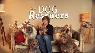 The Dog Rescuers [upl. by Horsey]