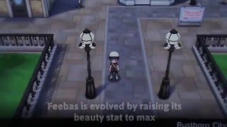 How to evolve Feebas Pokemon ORAS [upl. by Ticknor]