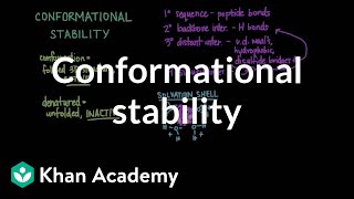 Conformational stability Protein folding and denaturation  MCAT  Khan Academy [upl. by Farris320]