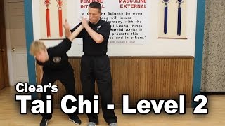 Tai Chi  Applications [upl. by Eenahc]