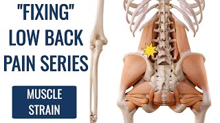 How to Fix Lower Back Strain DONT STRETCH [upl. by Rudiger]